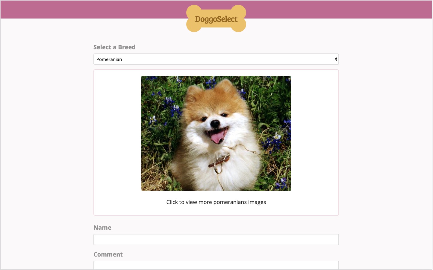 Dog Select App image
